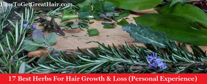 17 Best Herbs For Hair Growth & Loss (Personal Experience)
