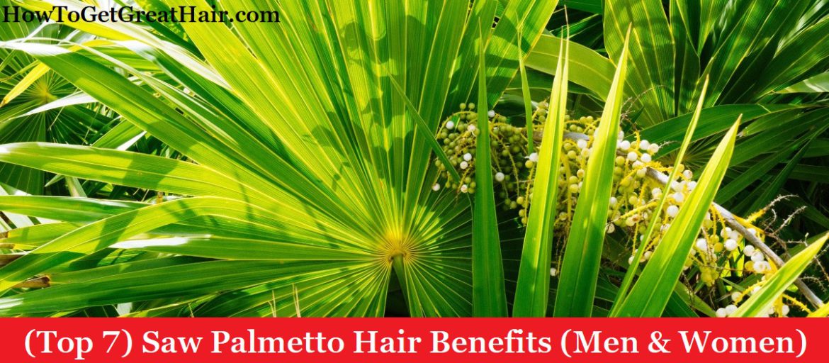 (Top 7) Saw Palmetto Hair Benefits (Men & Women)