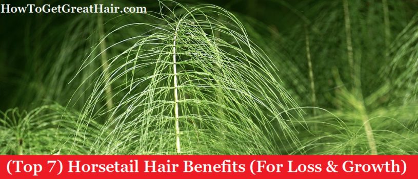 (Top 7) Horsetail Hair Benefits (For Loss & Growth)
